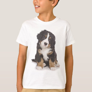 Amor Bernese de la camiseta de cachorro
