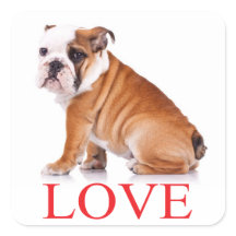Amor Bulldog Inglés Puppy Perro Pegatina / Sello