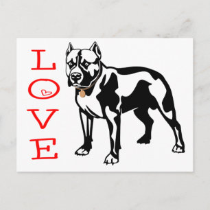 Amor Cachorro Perro Pit Bull Postal en Blanco