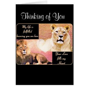 Amor Cumplido, Te Amas_