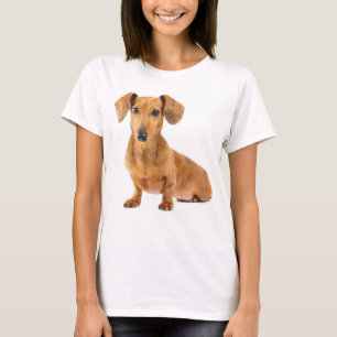 Amor Dachshund Camisa Tee Perro Cachorro