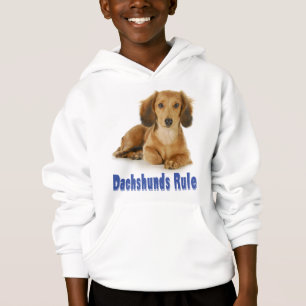 Amor Dachshund Perro Cachorro Suero