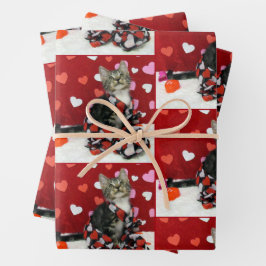 Amor de Bandit - Hojas de papel de envolver gatos/