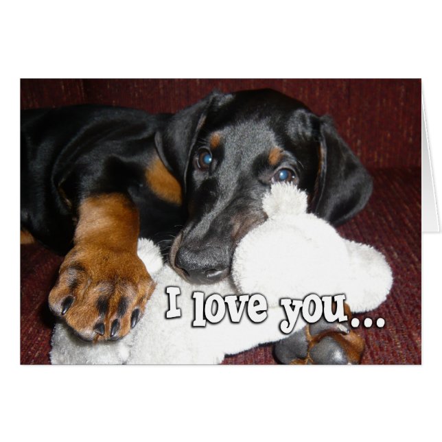 Amor de Cachorro - Cachorro adorable de Doberman P (Anverso (Horizontal))