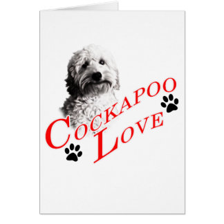 Amor de Cockapoo