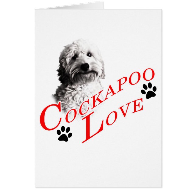 Amor de Cockapoo (Frente)
