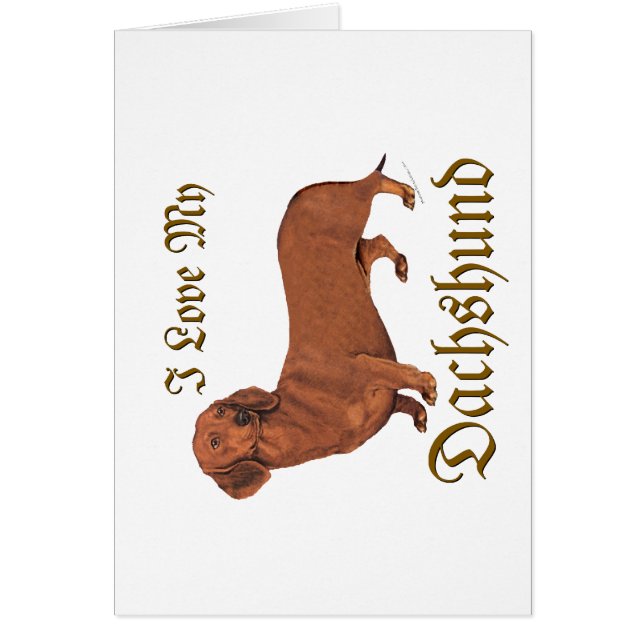 Amor de Dachshund (Frente)