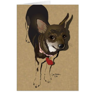 Amor de la chihuahua