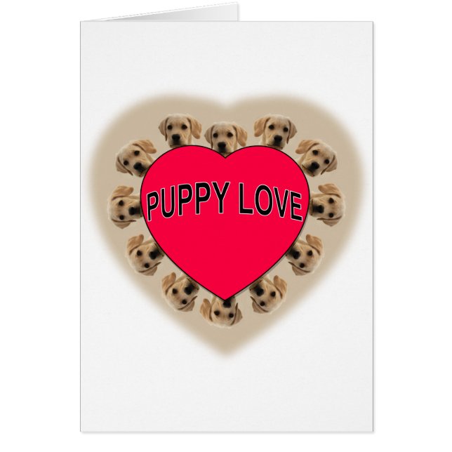 Amor de las putas (Frente)