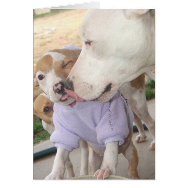 Amor de las putas (Frente)