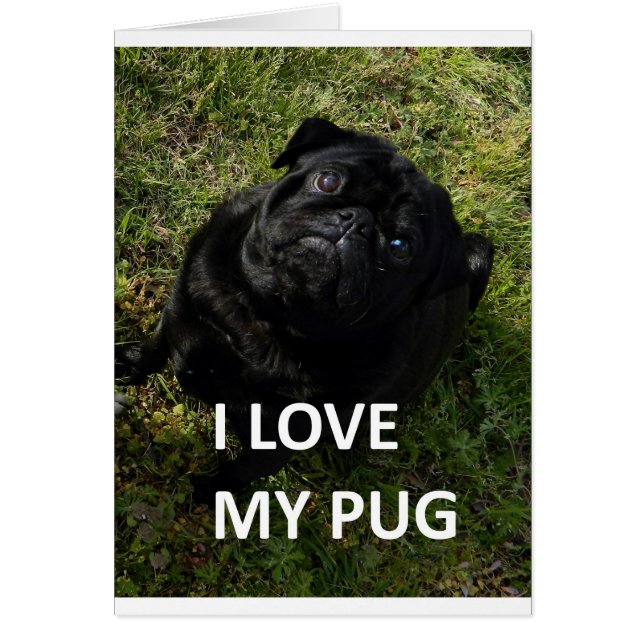 amor de pug negro con imagen (Frente)
