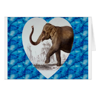 Amor del elefante