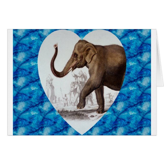 Amor del elefante (Anverso (Horizontal))