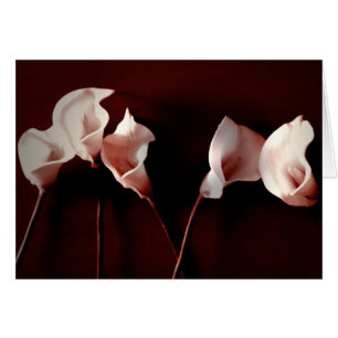 Amor del lirio