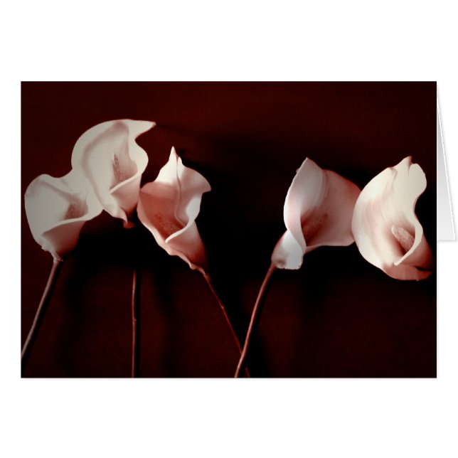 Amor del lirio (Anverso (Horizontal))
