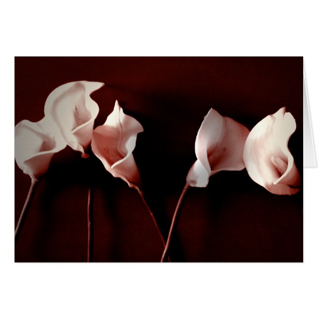 Amor del lirio (Anverso (Horizontal))