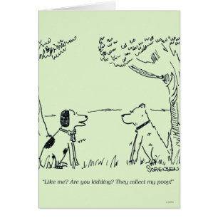 Amor del perro