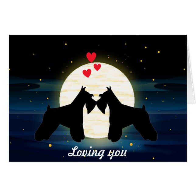 Amor del Schnauzer (Anverso (Horizontal))