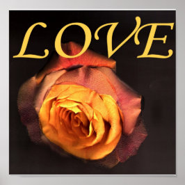 AMOR E IMPRESIÓN DE ROSA