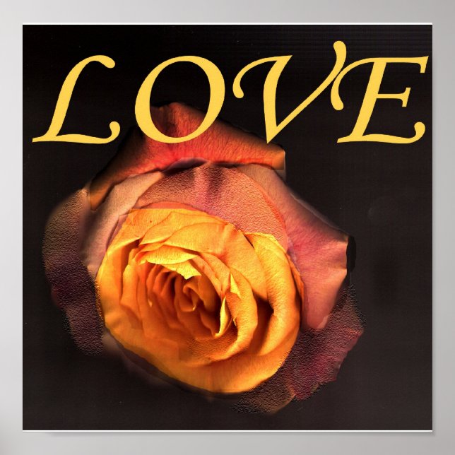 AMOR E IMPRESIÓN DE ROSA (Frente)