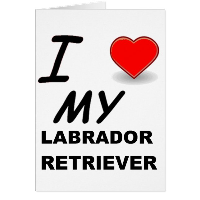 amor en laboratorio (Frente)