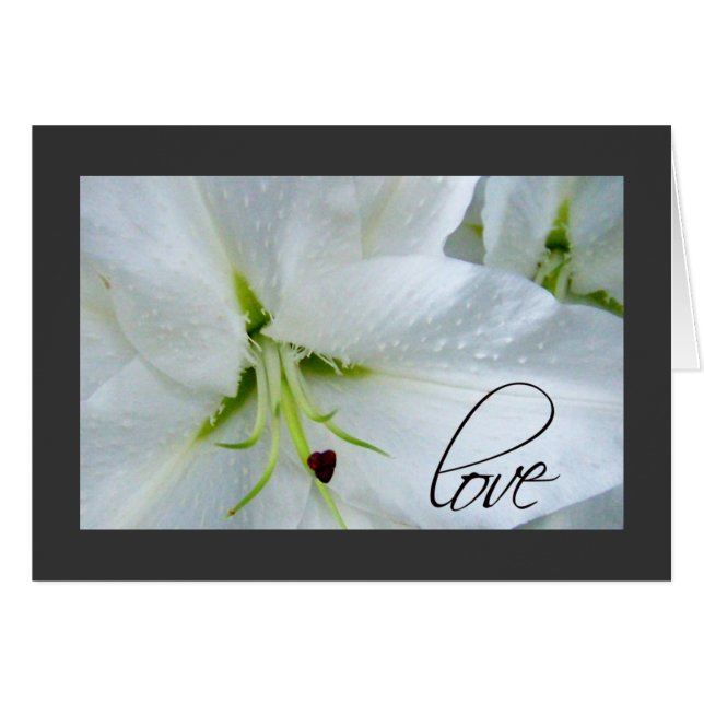 Amor en una colmena (Anverso (Horizontal))