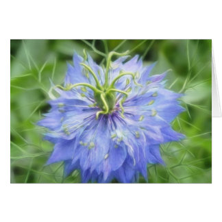 Amor en una niebla - Nigella Damascena