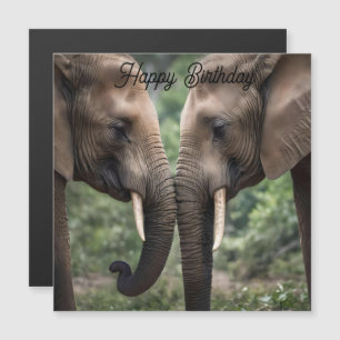 Amor familiar elefante