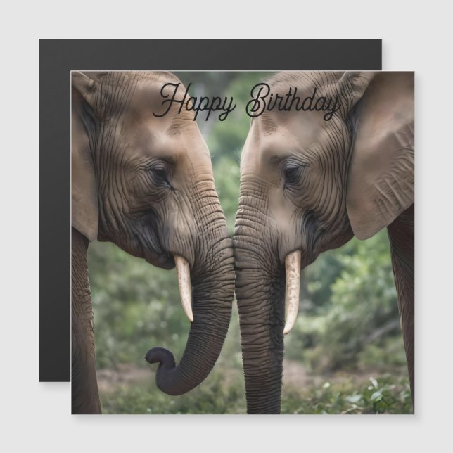 Amor familiar elefante (Anverso/Reverso)