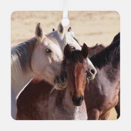 Amor familiar salvaje, ornamento