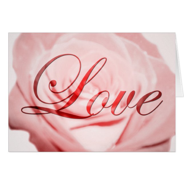 Amor : Flor rosa: (Anverso (Horizontal))