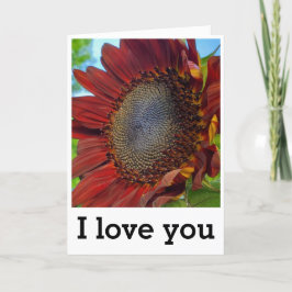 Amor floreciente - Tarjeta de aniversario