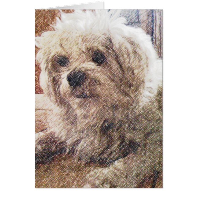 Amor incondicional (Frente)