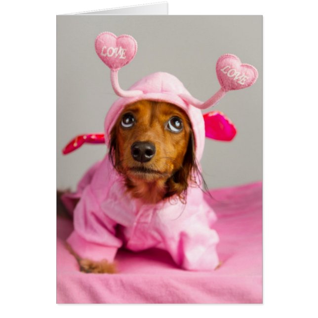 Amor incondicional (Frente)