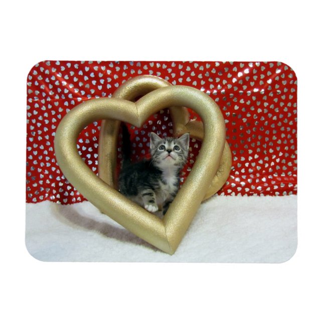 Amor, Lilo - Gato cardíaco / imán gatito (Horizontal)