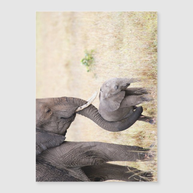 Amor maternal (Anverso)