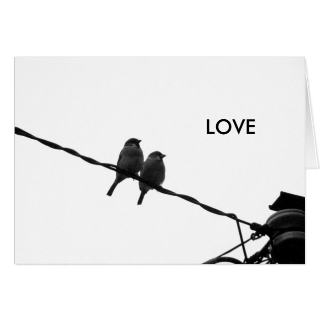 Amor/Mirar en la misma dirección (Anverso (Horizontal))