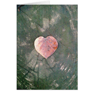 Amor natural, IIII
