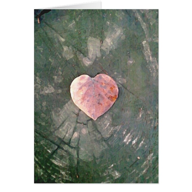 Amor natural, IIII (Frente)