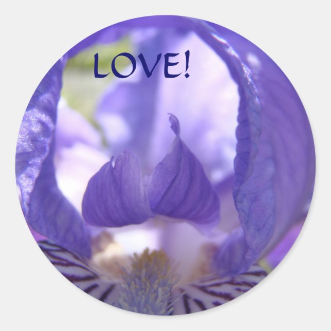 ¡AMOR! Pegatinas Flores de Iris Morado Día de San  (Anverso)