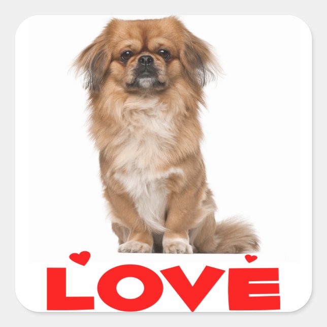 Amor Pekingese Cachorro Perro Pegatina del Corazón (Anverso)