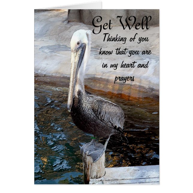 Amor Pelicano,-Ocasiones_ (Frente)