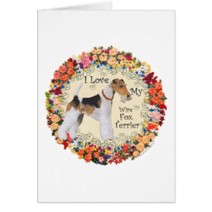 Amor por el Fox Terrier de Pelo de Alambre