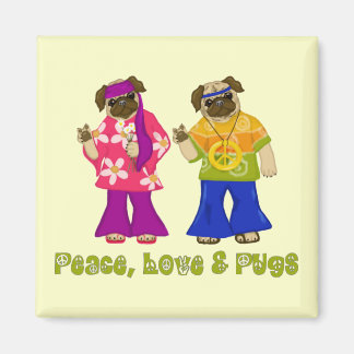 Amor por la paz e imanes de cercas
