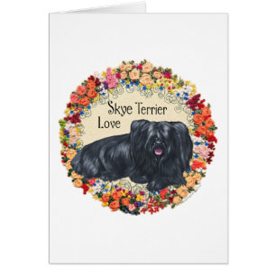 Amor por los Terriers Skye