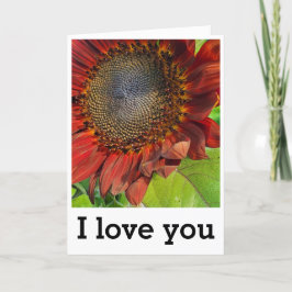 Amor radiante - Tarjeta de aniversario de girasol