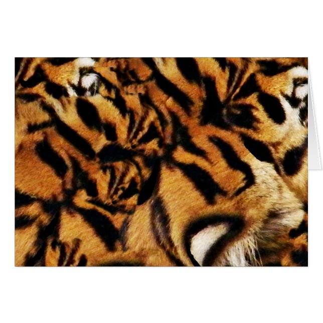 Amor tigre_ (Anverso (Horizontal))