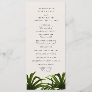 Amor tropical / Programa