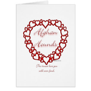 Amor verdadero afgano