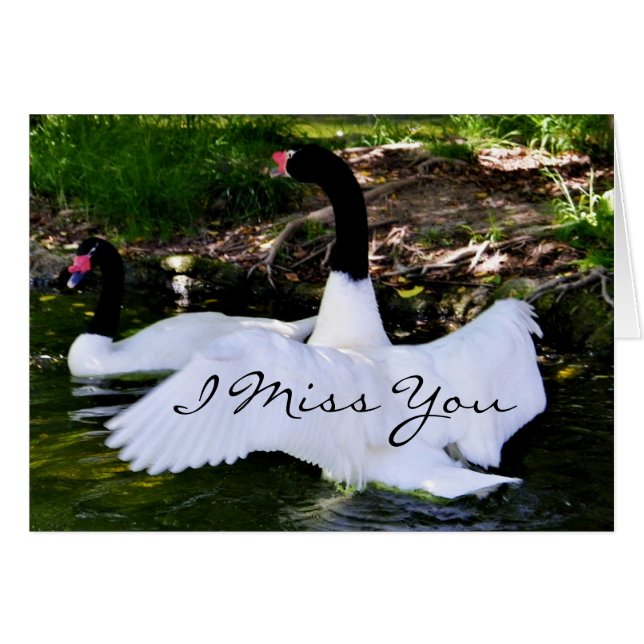 Amor y abrazos_ (Anverso (Horizontal))